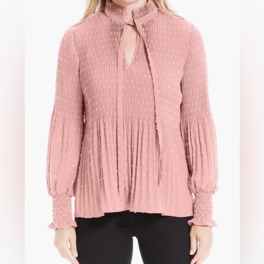 Max Studio Clay Long Sleeve Top